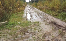 Первая линия